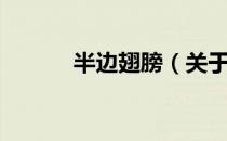 半边翅膀（关于半边翅膀简介）