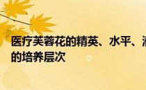 医疗芙蓉花的精英、水平、潜力、技能、信任度有哪些推荐的培养层次 