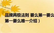品牌两极法则 要么第一要么唯一（关于品牌两极法则 要么第一要么唯一介绍）