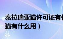 泰拉瑞亚猫许可证有什么用（泰拉瑞亚新出的猫有什么用）