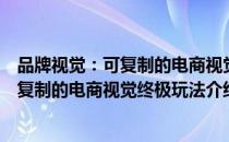 品牌视觉：可复制的电商视觉终极玩法（关于品牌视觉：可复制的电商视觉终极玩法介绍）