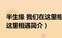 半生缘 我们在这里相遇（关于半生缘 我们在这里相遇简介）