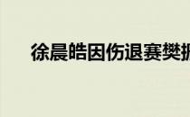 徐晨皓因伤退赛樊振东因此获得第三名