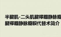 半腱肌-二头肌腱襻腘静脉瓣膜代替术（关于半腱肌-二头肌腱襻腘静脉瓣膜代替术简介）