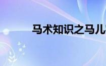 马术知识之马儿实际上智商很高