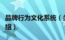 品牌行为文化系统（关于品牌行为文化系统介绍）