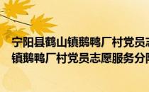 宁阳县鹤山镇鹅鸭厂村党员志愿服务分队（关于宁阳县鹤山镇鹅鸭厂村党员志愿服务分队介绍）