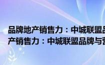 品牌地产销售力：中城联盟品牌与营销案例集（关于品牌地产销售力：中城联盟品牌与营销案例集介绍）
