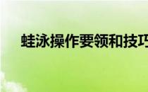 蛙泳操作要领和技巧 蛙泳入门教学视频