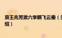 哀王兆芳漱六李鹏飞云垂（关于哀王兆芳漱六李鹏飞云垂介绍）