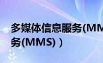 多媒体信息服务(MMS)（关于多媒体信息服务(MMS)）
