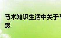 马术知识生活中关于马的一些问题常让我们迷惑