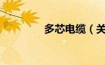 多芯电缆（关于多芯电缆）