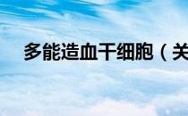 多能造血干细胞（关于多能造血干细胞）