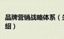 品牌营销战略体系（关于品牌营销战略体系介绍）