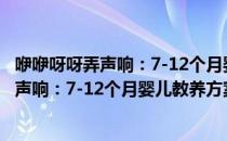 咿咿呀呀弄声响：7-12个月婴儿教养方案（关于咿咿呀呀弄声响：7-12个月婴儿教养方案介绍）