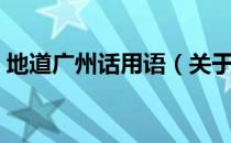 地道广州话用语（关于地道广州话用语简介）