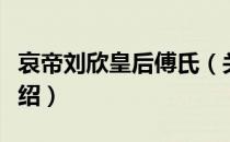 哀帝刘欣皇后傅氏（关于哀帝刘欣皇后傅氏介绍）