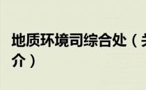 地质环境司综合处（关于地质环境司综合处简介）