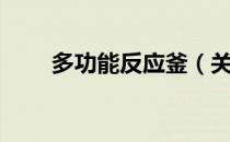 多功能反应釜（关于多功能反应釜）