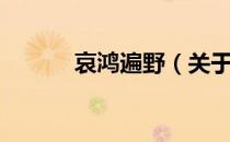 哀鸿遍野（关于哀鸿遍野介绍）