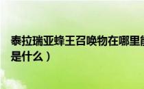 泰拉瑞亚蜂王召唤物在哪里能使用（泰拉瑞亚召唤蜂王条件是什么）