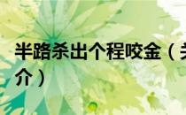 半路杀出个程咬金（关于半路杀出个程咬金简介）