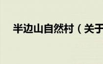 半边山自然村（关于半边山自然村简介）