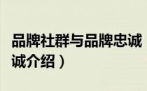 品牌社群与品牌忠诚（关于品牌社群与品牌忠诚介绍）