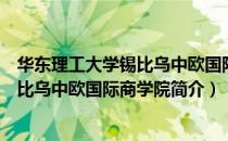 华东理工大学锡比乌中欧国际商学院（关于华东理工大学锡比乌中欧国际商学院简介）