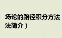 场论的路径积分方法（关于场论的路径积分方法简介）