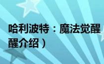 哈利波特：魔法觉醒（关于哈利波特：魔法觉醒介绍）