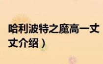 哈利波特之魔高一丈（关于哈利波特之魔高一丈介绍）