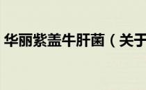 华丽紫盖牛肝菌（关于华丽紫盖牛肝菌简介）