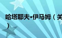 哈塔耶夫·伊马姆（关于哈塔耶夫·伊马姆介绍）