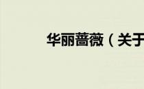 华丽蔷薇（关于华丽蔷薇简介）