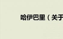 哈伊巴里（关于哈伊巴里介绍）