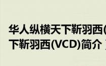 华人纵横天下靳羽西(VCD)（关于华人纵横天下靳羽西(VCD)简介）