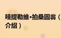 哇提勒维·拍桑固翁（关于哇提勒维·拍桑固翁介绍）