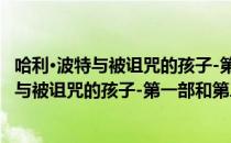哈利·波特与被诅咒的孩子-第一部和第二部（关于哈利·波特与被诅咒的孩子-第一部和第二部介绍）