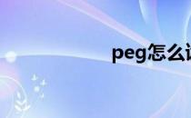 peg怎么读（peg）