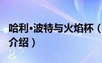 哈利·波特与火焰杯（关于哈利·波特与火焰杯介绍）