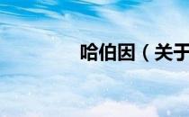 哈伯因（关于哈伯因介绍）