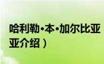 哈利勒·本·加尔比亚（关于哈利勒·本·加尔比亚介绍）