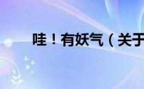 哇！有妖气（关于哇！有妖气介绍）