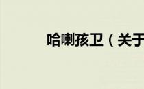 哈喇孩卫（关于哈喇孩卫介绍）