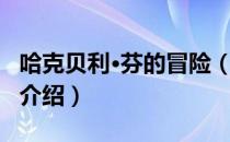 哈克贝利·芬的冒险（关于哈克贝利·芬的冒险介绍）