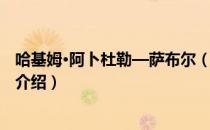 哈基姆·阿卜杜勒—萨布尔（关于哈基姆·阿卜杜勒—萨布尔介绍）