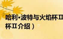 哈利·波特与火焰杯Ⅱ（关于哈利·波特与火焰杯Ⅱ介绍）