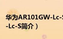 华为AR101GW-Lc-S（关于华为AR101GW-Lc-S简介）